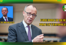 friedrich merz privatvermögen