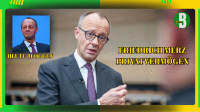 friedrich merz privatvermögen