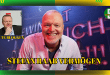 Stefan Raab Vermögen