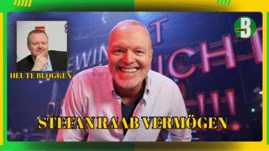 Stefan Raab Vermögen